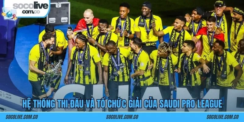 Hệ thống thi đấu và tổ chức giải của Saudi Pro League