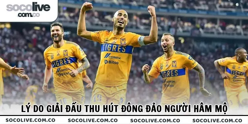 Lý do giải đấu thu hút đông đảo người hâm mộ bóng đá thế giới