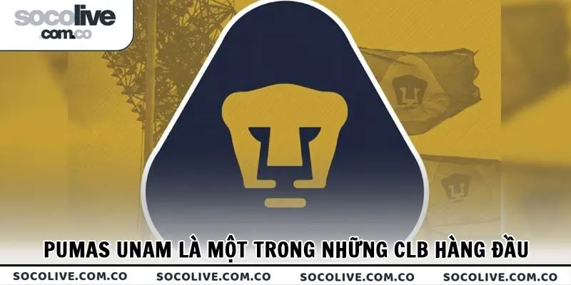 Pumas UNAM là một trong những CLB hàng đầu Mexico cũng như khu vực Bắc và Trung Mỹ