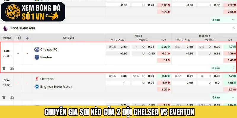 Chi tiết thông tin soi kèo giữa hai đội Chelsea và Everton 