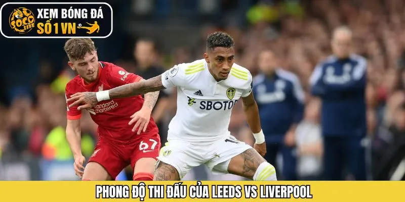 Tình hình phong độ gần đây giữa Leeds vs Liverpool