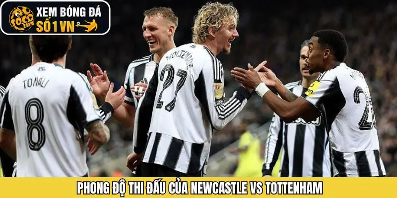 Phong độ giữa Newcastle - Tottenham