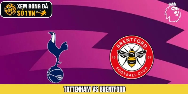 Tottenham Vs Brentford Vào 22:00, 6/12/2025 - Nhận Định Cùng Socolive