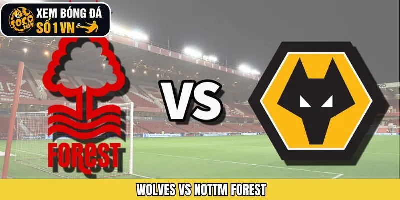 Wolves Vs Nottm Forest 2h30 Vào 4/12, Vòng 14 Ngoại Hạng Anh