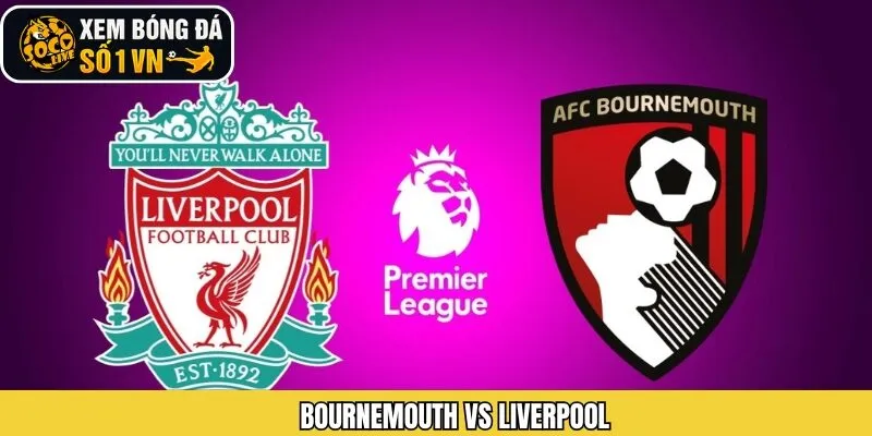 Soi Kèo Bournemouth Vs Liverpool Ngày 25/01 Cùng Socolive