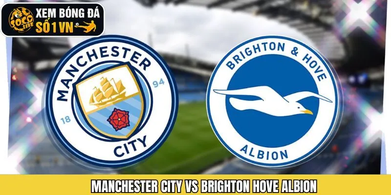 Socolive Nhận Định Manchester City Vs Brighton Hove Albion Ngày 8/1